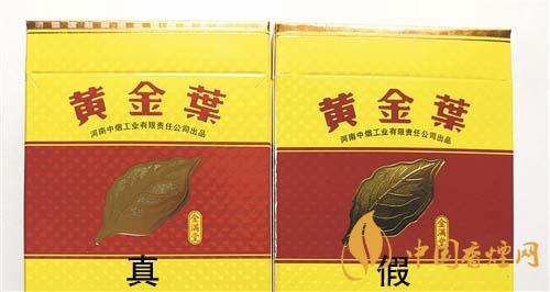 如何辨別黃金葉金滿堂真假？2020黃金葉真假辨別詳情對比