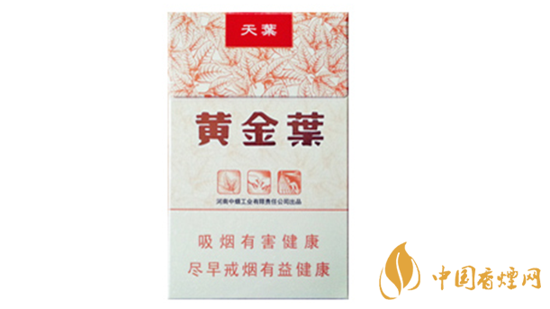 黃金葉天葉真?zhèn)卧趺幢鎰e？天葉真假如何看？