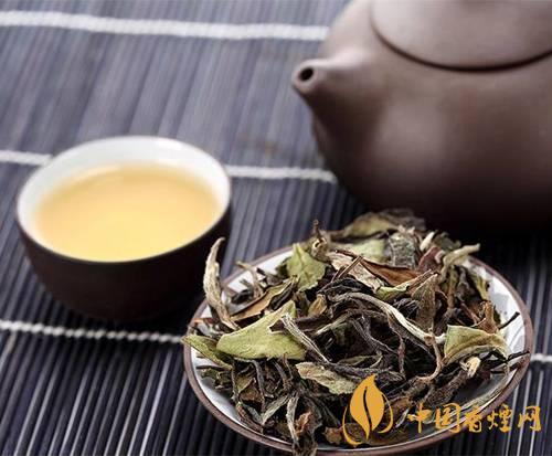 老白茶為什么那么受歡迎 老白茶到底有多好