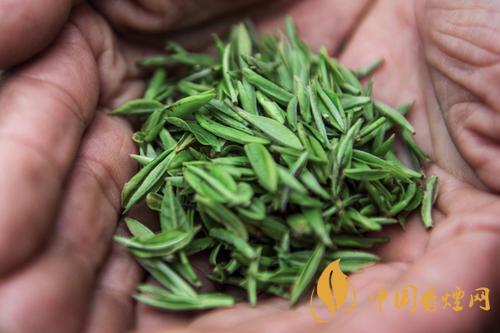 秦巴霧毫的產(chǎn)地在哪 秦巴霧毫多少錢一斤