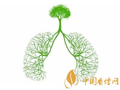 出口香煙與內銷版香煙到底有何區(qū)別?