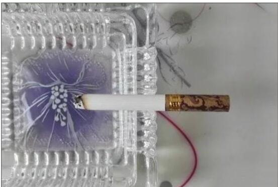 黃鶴樓漫天游，除了短貴沒別的毛病