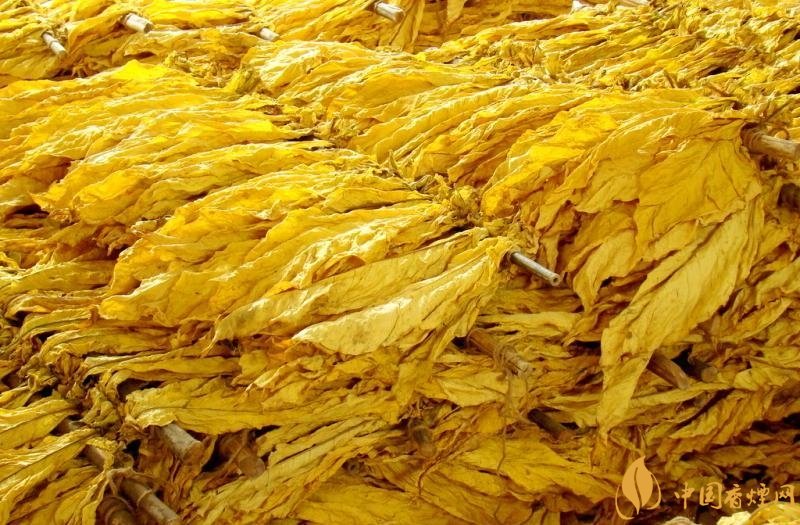 有機(jī)煙葉是什么，有機(jī)煙葉和普通煙葉的區(qū)別