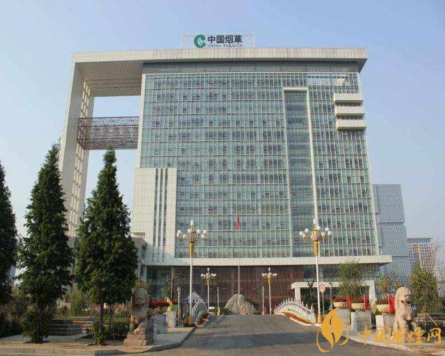 3.5億煙民1年為國家貢獻1.2億！專家：卷煙太便宜，要漲價